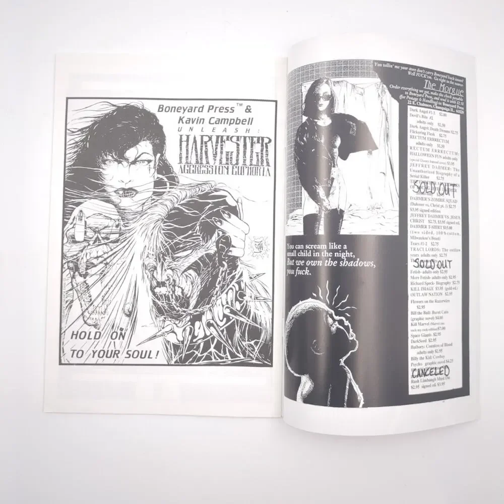 Brandon Lee Taken Too Soon Boneyard Press 1994 Hart D Fisher Indie Comic